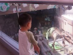 -陕西自然博物馆