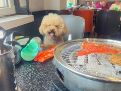 -四斤烤肉(东戴河孟家店)