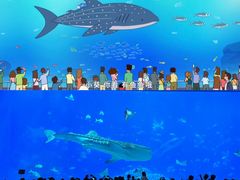-珠海长隆海洋王国
