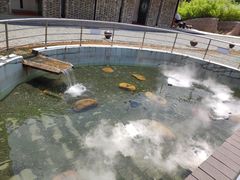 -凤阁楼果木烧鹅(鹤山陈山店)