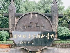 -大奇山国家森林公园