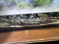 -太平洋海底世界