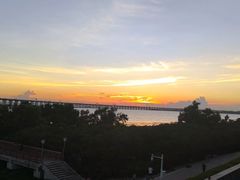 -宝安西湾红树林湿地公园