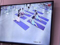 -蒲公英舞蹈艺术中心(解放路校区)