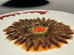 -子福慧(虹桥店)
