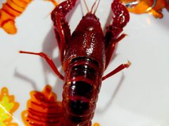 -霸王虾·麻辣小龙虾(清水河公园店)