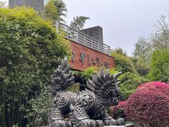 -杭州植物园
