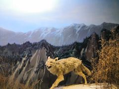 -陕西自然博物馆