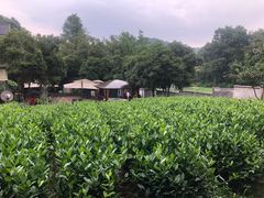 -自在弥林花园餐厅(云栖店)