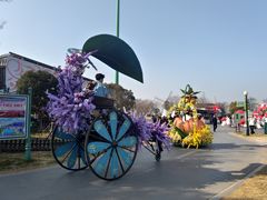 -荷兰花海