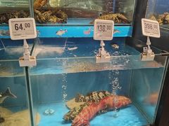 -Olé精品超市(沈阳万象城店)