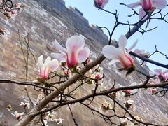 -东华门大街小区