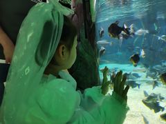 -福州罗源湾海洋世界旅游区