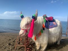 -青海湖国家重点风景名胜区