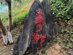 -长寿村
