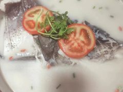 -全乐鱼馆·淳牌有机鱼直营店