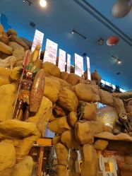 -卡通尼·Safari非洲探索乐园·生日会(金桥国际商业广场店)