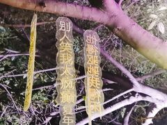 -成都市活水公园