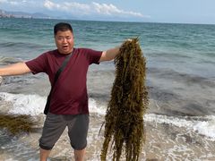 -玫瑰海岸文化旅游度假区
