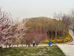 -河北省园博园