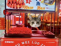-聚味罗记大排檔·烧烤·鲜鱼杂·甲鱼煲(科学馆店)