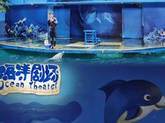 -苏州海洋馆