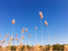 -绿堤公园