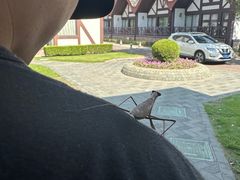 -太阳岛度假酒店