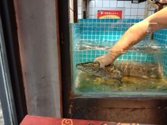 水产区-叁宝烤肉• 西安烧烤(高科新花园店)