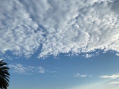 -玫瑰海岸文化旅游度假区