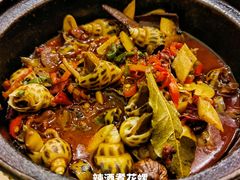 辣酒花螺-光头匠