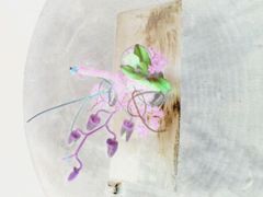 android_upload_pic-宜宾海鲜酒家·三十年老字号