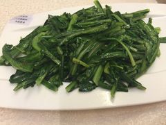 -楼兰印象(朝外店)