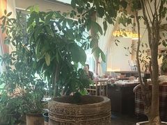 -慢丽江·云南野生菌土鸡锅(付家庄店)