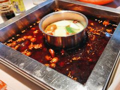 -二荆条·蜀鲜汇城市森林火锅