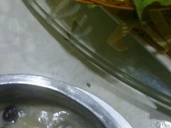 -丰乐斑鱼庄(建业·壹号城邦店)