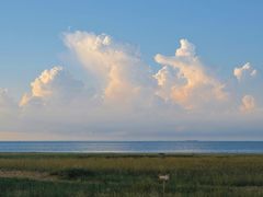 -白沙门生态公园