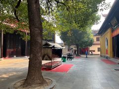 景点-迎江寺