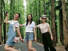 -东平国家森林公园