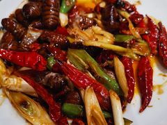 -潮庭·大连海鲜·炭火烧烤·扇贝王(大连店)