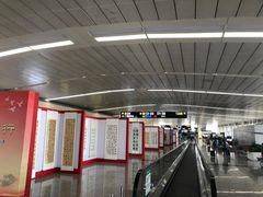 -石家庄正定国际机场-T2航站楼