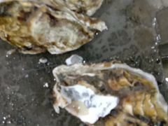 -阔澜蒸汽海鲜自助