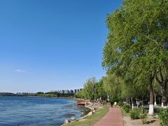 -丁香湖公园