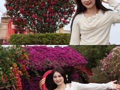 -东莞植物园