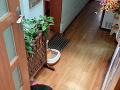 -Rabbit Cafe私房西餐甜点咖啡(栖霞路店)