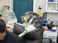 -百金通黄金回收首饰定制维修(珠江路总部)