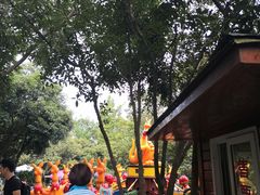-杭州少年儿童公园