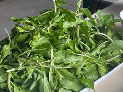-爱膳菌锅锅(阳南店)