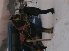 android_upload_pic-雪谷