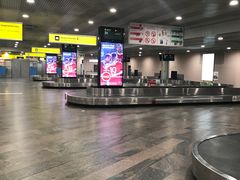 -谢列梅捷沃国际机场